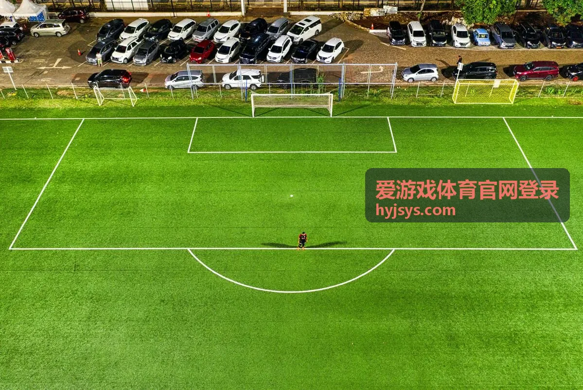 爱游戏体育官网登录客户端首次使用说明配图
