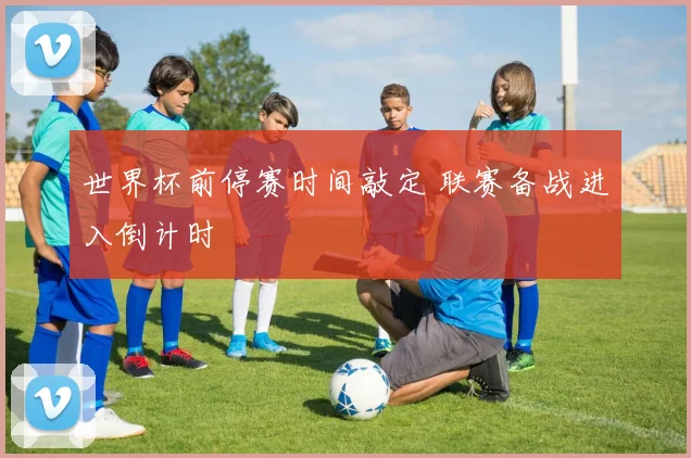 世界杯前停赛时间敲定 联赛备战进入倒计时